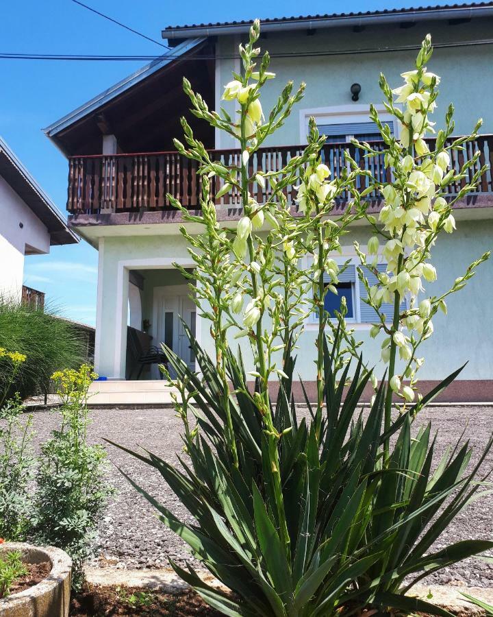 Apartman Lena Tusilovic ภายนอก รูปภาพ
